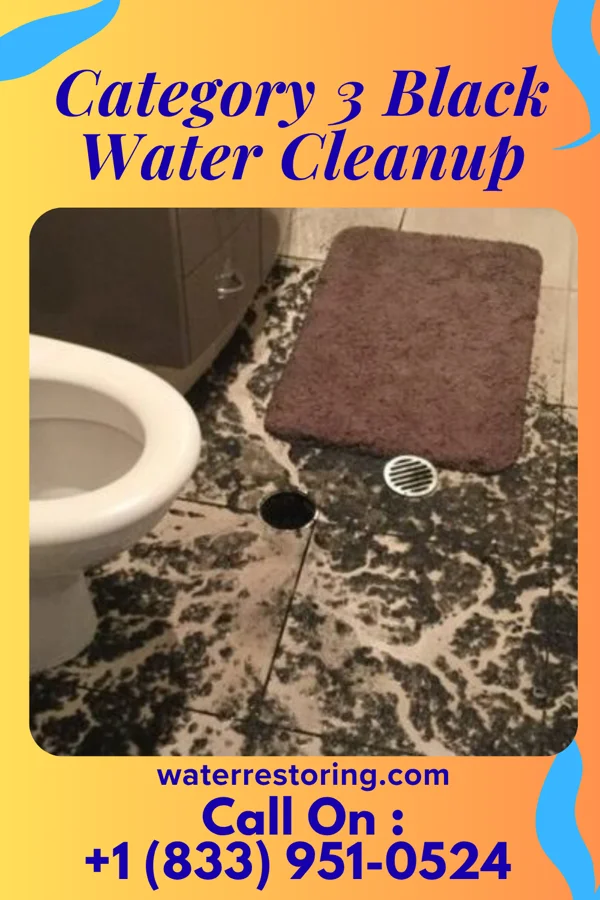 Category 3 Black Water Cleanup in Donaldson, MN